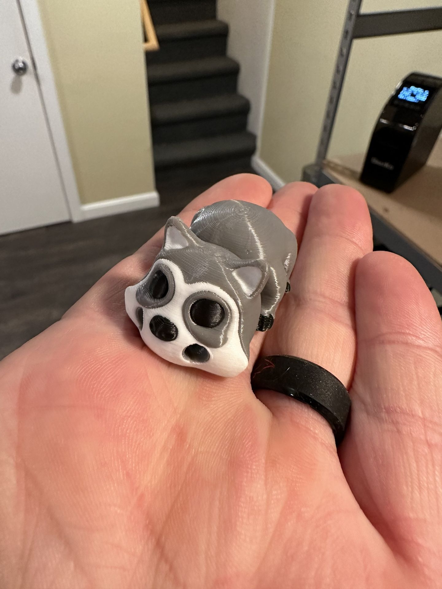 3D Printed Raccoon Keychain