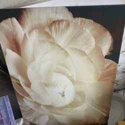 Canvas Rose Frame
