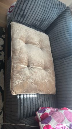 Brand New Pet Bed