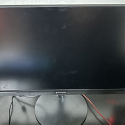 Great 21” Monitor 