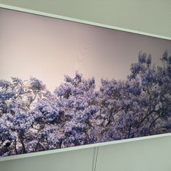 The Frame Samsung TV 