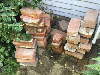 Free Approximately 50 Used Bricks