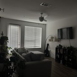 Grey Sectional Couch