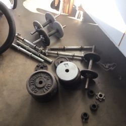 Free Weights And Dumbbells
