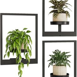 Bamworld Hanging Planters for Indoor Plants Wall Decor Living Room Plant Stand Indoor Wall Planters Plant Hanger Window Plant Shelves 3 Pack for Outdo