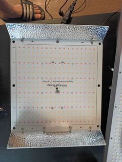 Carambola 1200 Watt grow light