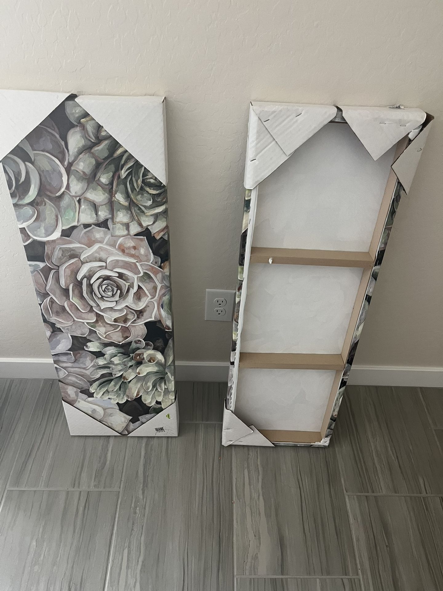 Brand New Wall Art Canvas-2 Pieces