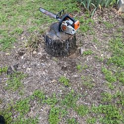 Stump Grinder