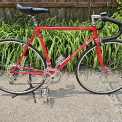 1983 Miyata 710 semi-pro series, 54 cm, 12 speed, Japan