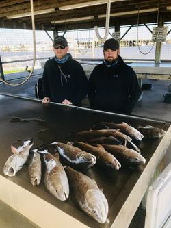 Matagorda guided fishing trips