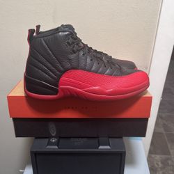 Jordan 12 Flu game 