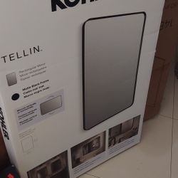 Kohler Tellin 22" x 34" framed mirror $100