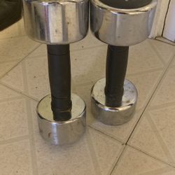 2 10lb Weights