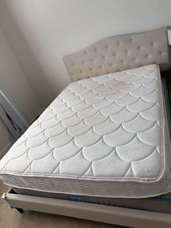 Queen Size Mattress only