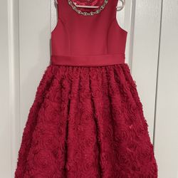 Party Dress Size 8T