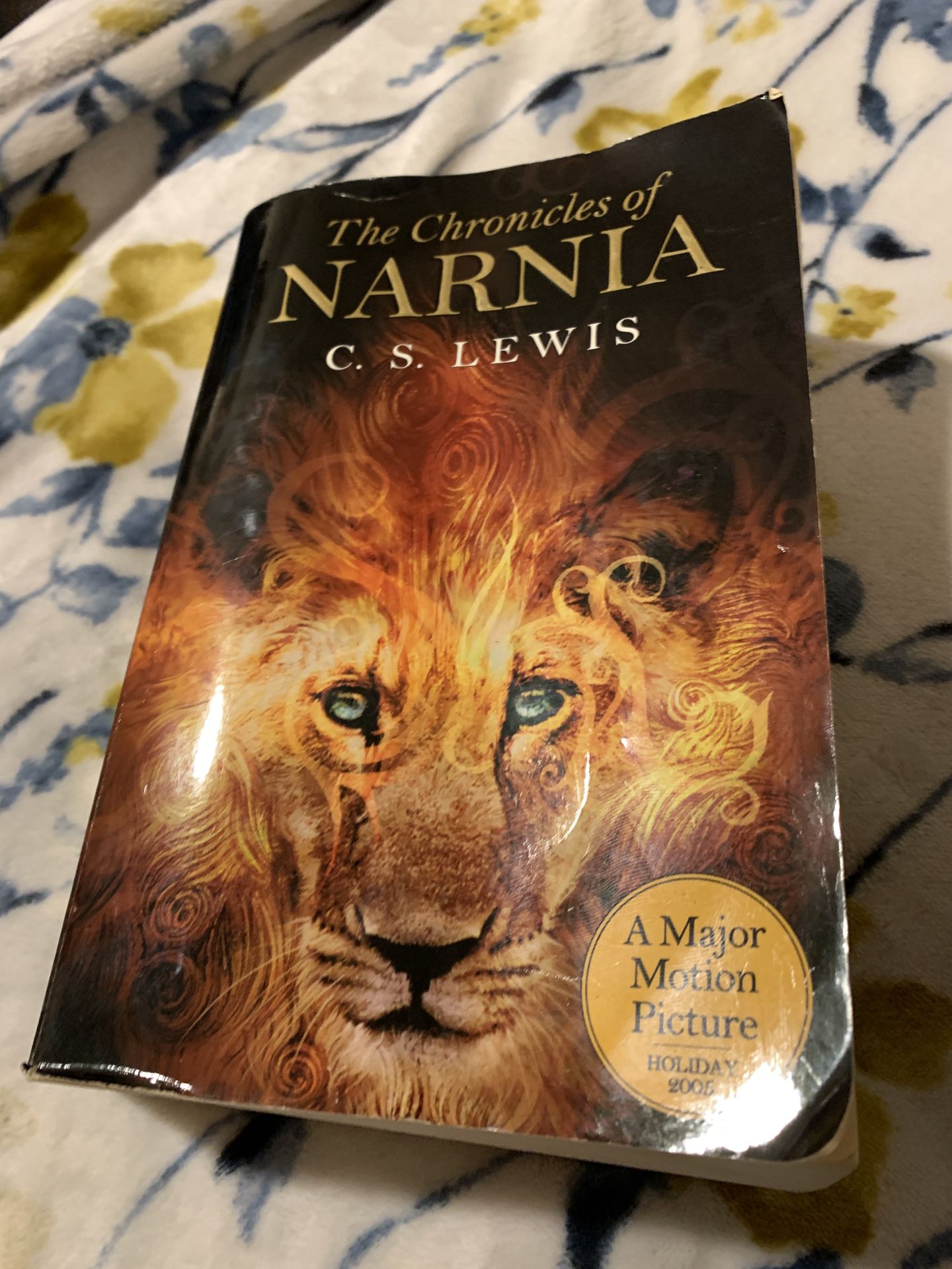 Narnia Paperback Copy 