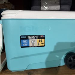 Igloo Cooler 