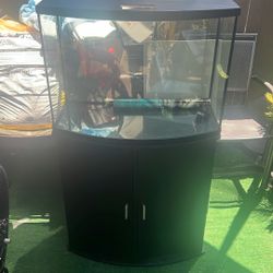 Fish Tank 