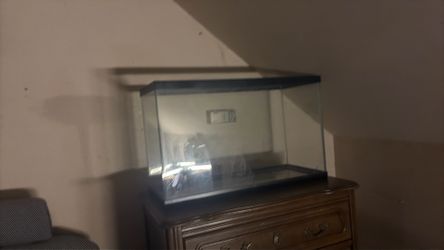 Fish tank