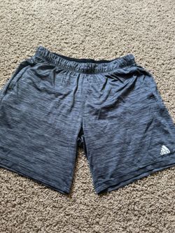 Men’s Large Adidas Aeroready Shorts