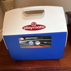 30 Can Capacity IGLOO Playmate Cooler