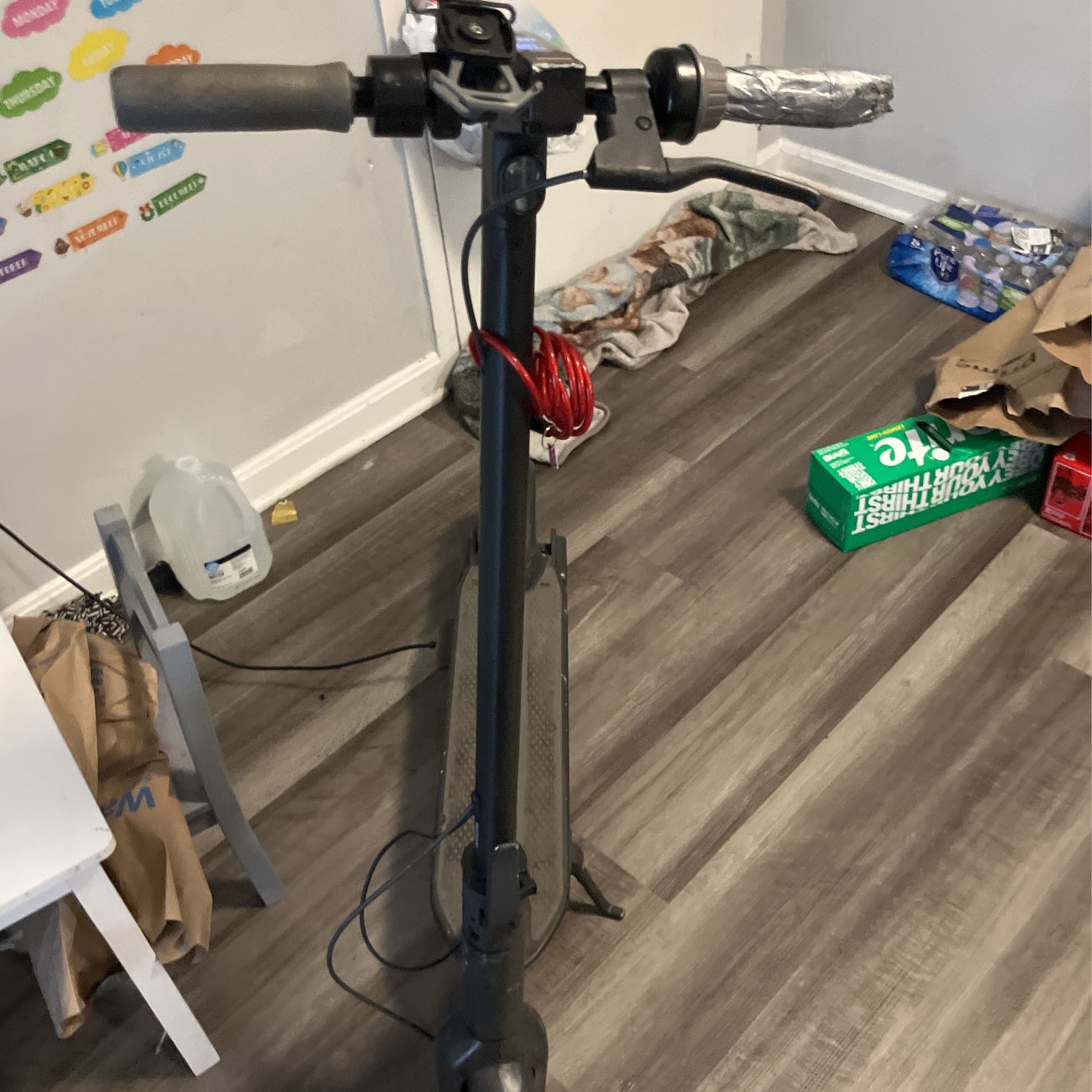 Ninebot Electric Scooter