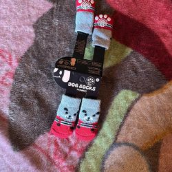 Small Dog Socks 4 Socks 