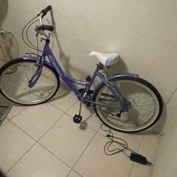 Beach Cruiser 26 Inch 