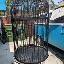 Bird Cage
