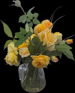 Assorted all yellow roses Different Types All Yellow In A Vintage Glass Pitcher