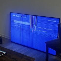 BROKE SCREEN 65” ROKU TV