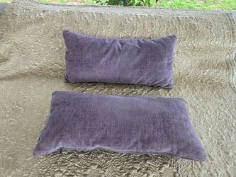 Michele Pelafas Gray Lumbar Pillows - Set of 2