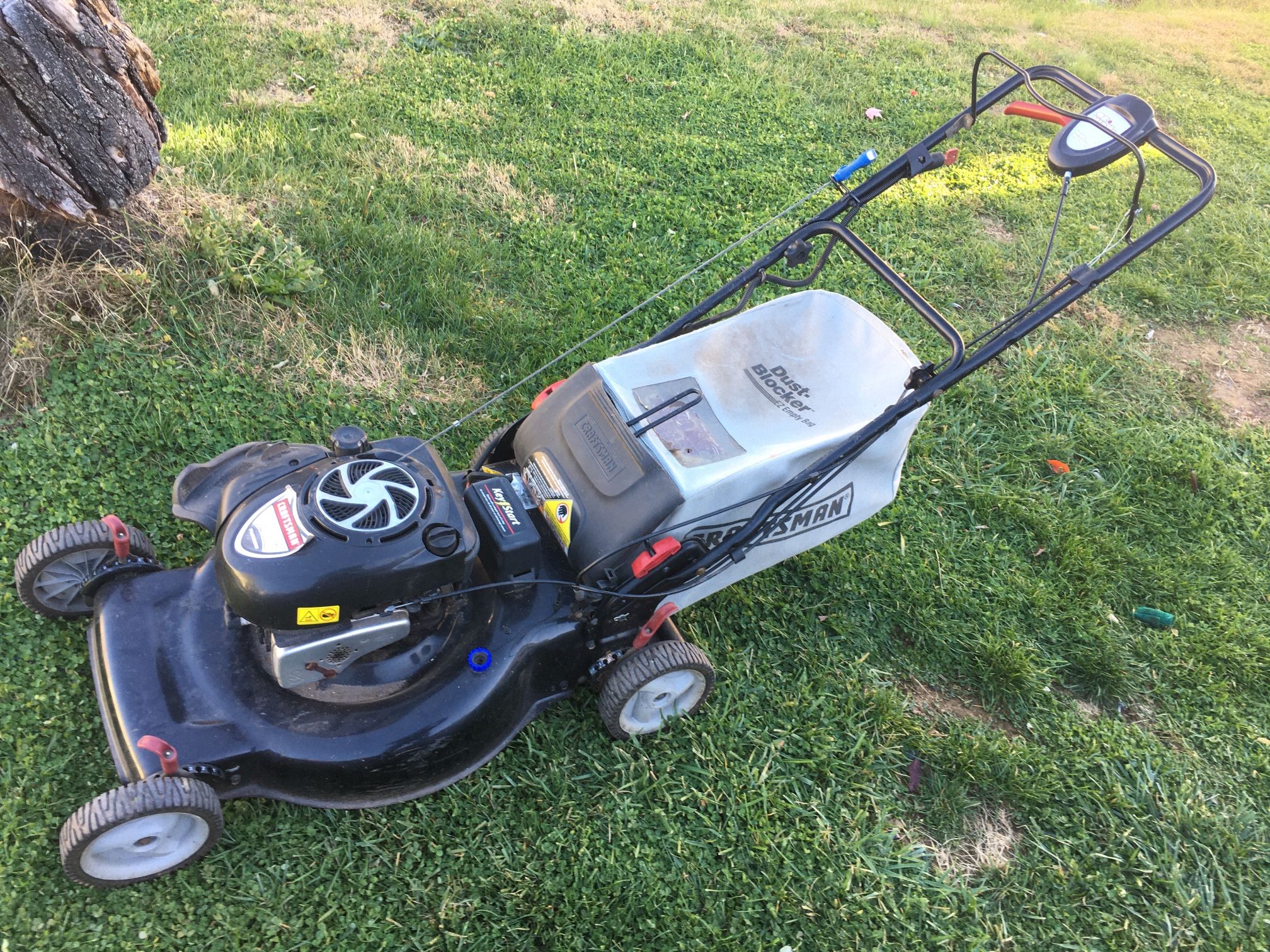 Self Propelled Lawn Mower $70