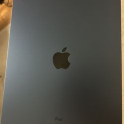 iPad 10th Gen (64GB) - perfect condition, reset and ready to go. Comes with charger. No cracks or scratches.