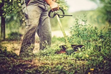 Weed cutter