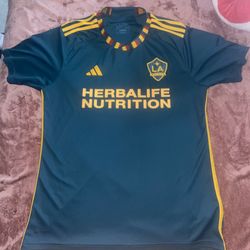 adidas Men's LA Galaxy 23/24 Away Jersey L