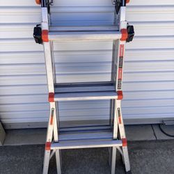 Little giant multi 13 ladder