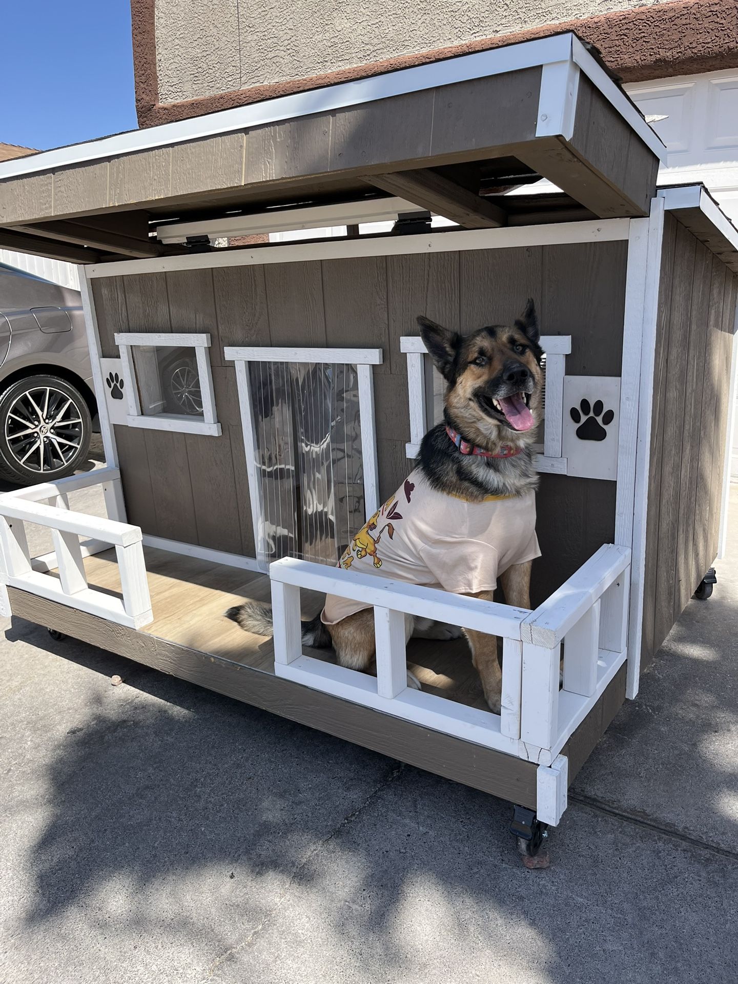 Dog House