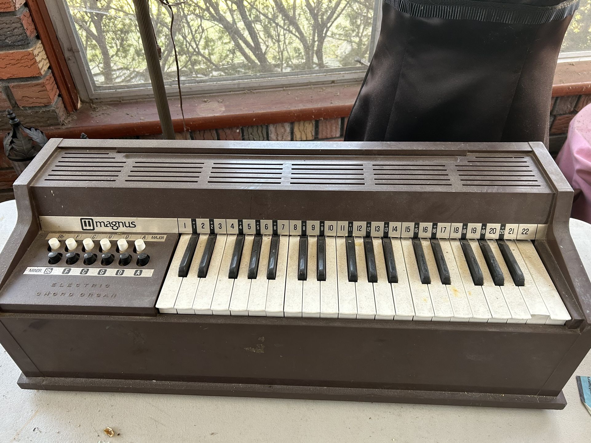 Magnus Organ Great For Beginners