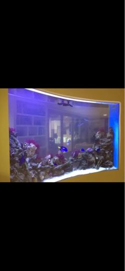 Fish tank