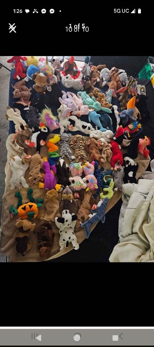 Beanie Babies Lot