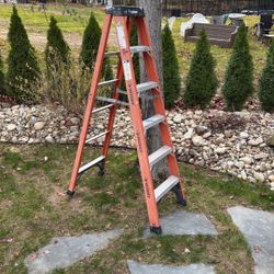 6 Foot Ladder Fiberglass
