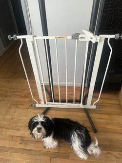 Baby  or dog door gate
