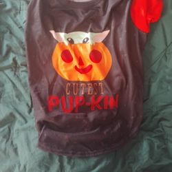 🎃 The Force is With You and Your Fur baby 🎃