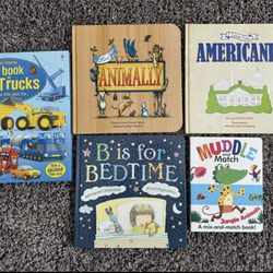 Usborne Book Bundle 