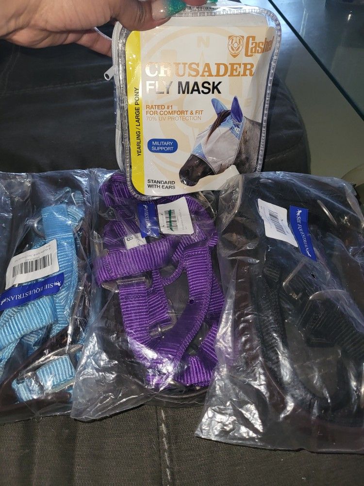 3 Horse Haulters and Fly Mask