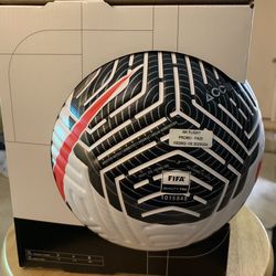 Nike Soccer Ball