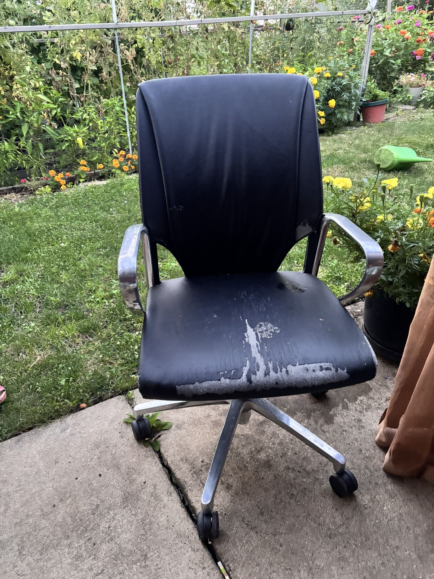 Free Office Chair