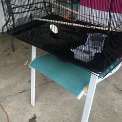 All Things Living  Small Animals