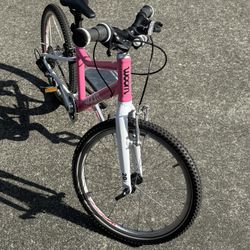 Woom 4 - Gently Used